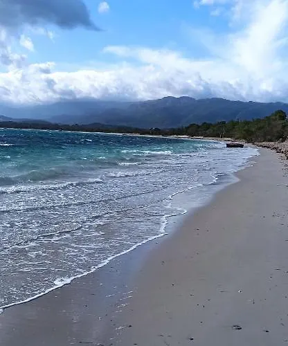 Apartment Arca C14 *